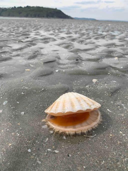 Ravissant Studio En Bord De Mer Plérin エクステリア 写真
